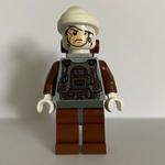Dengar, White Head, Reddish Brown Legs