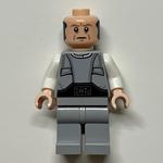 Lobot, Medium Nougat Eyebrows