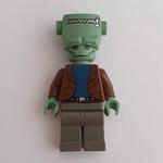 Frankenstein's Monster