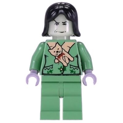 Professor Snape Boggart, Black Hair
