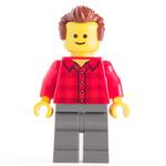 Red Torso Plaid, Dark Bluish Grey Legs, Reddish Brown Hair