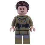 Princess Leia, Endor Outfit, Hair