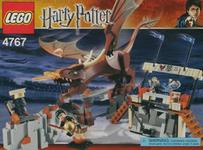 Harry and the Hungarian Horntail