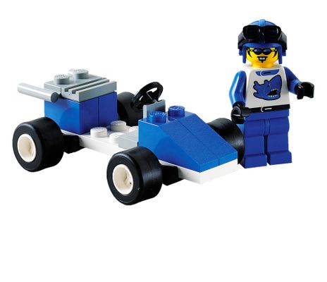 Blue Racer