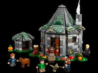 Hagrid's Hut: An Unexpected Visit